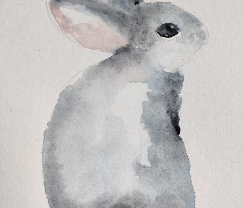 Croquis | lapin à l’aquarelle