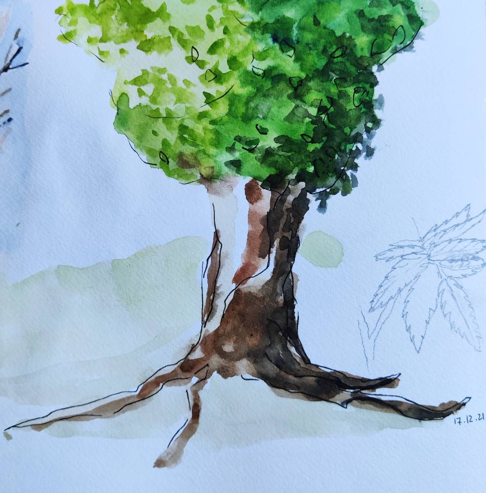 Dessin d'un arbre avec un gros tronc et un feuillage allant de vert clair à vert foncé de gauche à droite