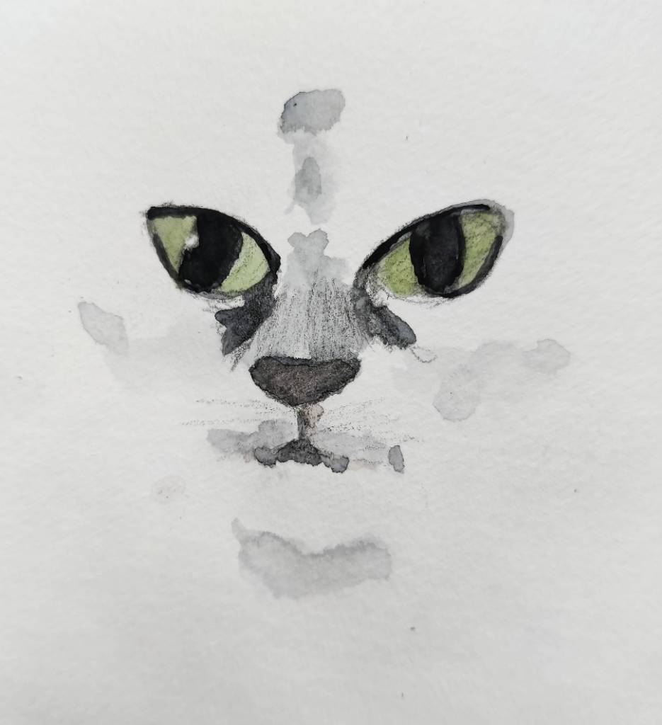 Dessin d'un gros plan sur un museau de chat : les yeux, le nez, la bouche et quelques traces autour