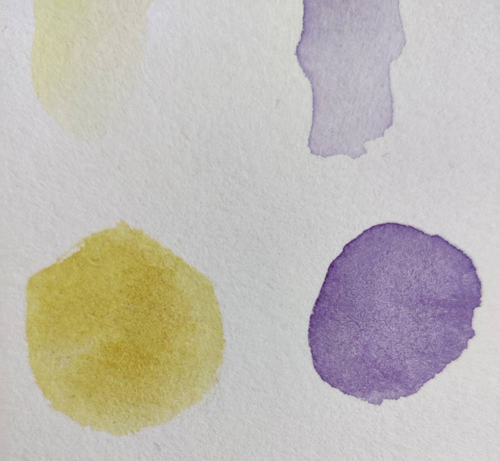 Un rond d'aquarelle jaune et un violet
