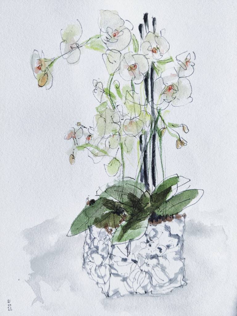 Croquis au feutre et aquarelle d'un gros pot d'orchidées