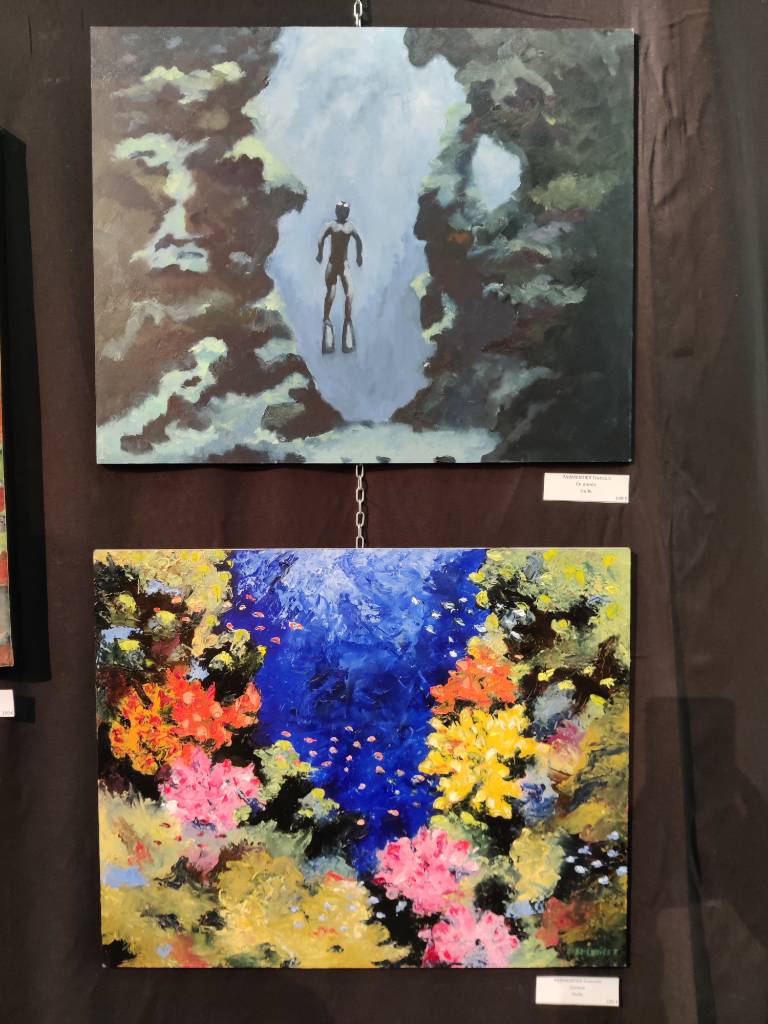 Deux tableaux : celui de dessus représente un plongeur et celui du dessous des coraux très colorés
