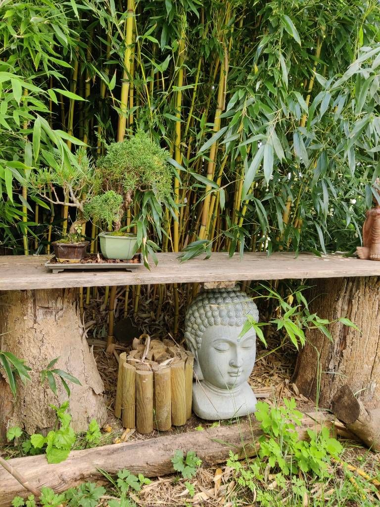 Une planche sur fond de bambous, au-dessus et au-dessous de laquelle sont posés des bonzaï, une tête de Bouddha et divers autres éléments en bois, en argile...